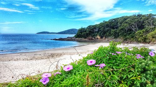 Scenic view of sea against clear sky