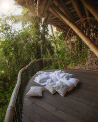 View of dead tree on bed