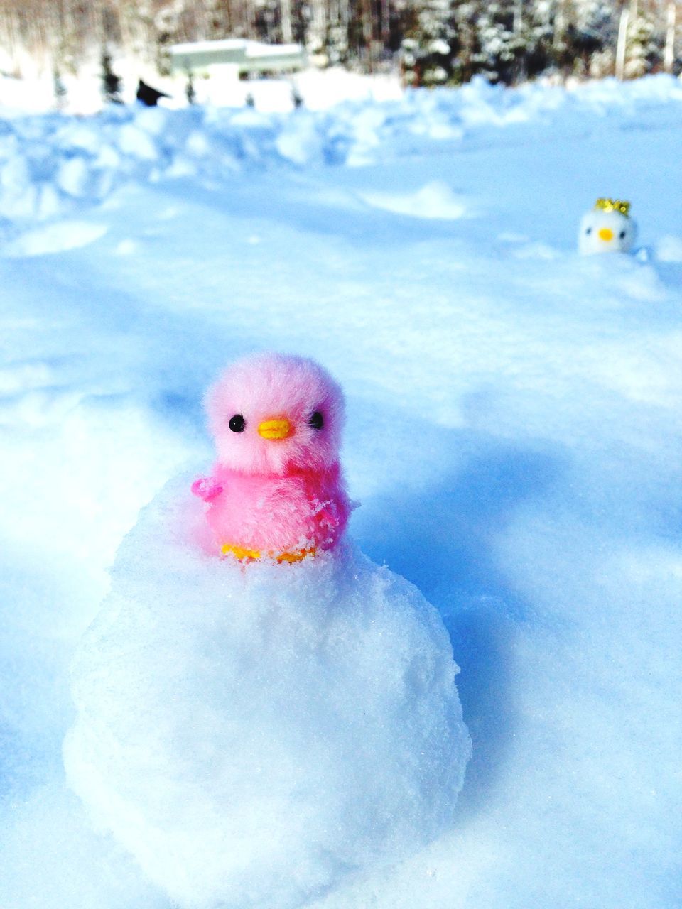 animal themes, bird, one animal, snow, multi colored, cold temperature, winter, parrot, animals in the wild, close-up, toy, focus on foreground, wildlife, beak, portrait, red, duck, animal representation, white color, domestic animals