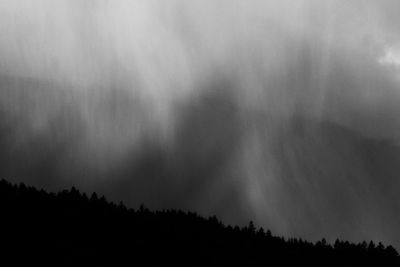 Silhouette trees in forest against sky