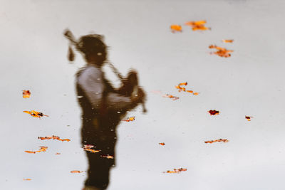 High angle view of person standing in water