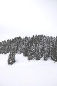 Snow covered landscape against clear sky