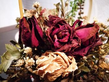 Close-up of wilted flowers