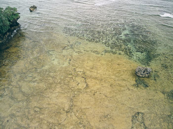 High angle view of crab on shore