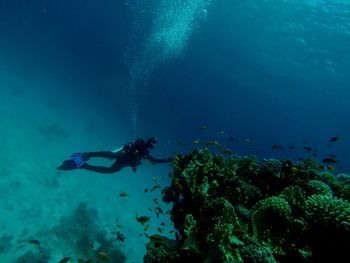 Man diving in sea