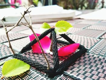 Close-up of potted plant on table