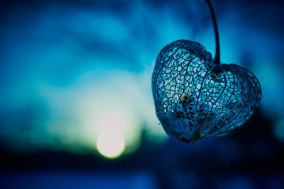 Close-up of water against blue sky