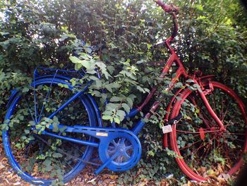 Bicycle parked in park