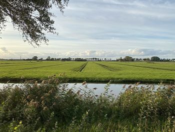 Scenic view of field against sky