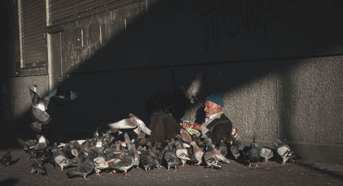 Beggar feeding birds while sitting on street