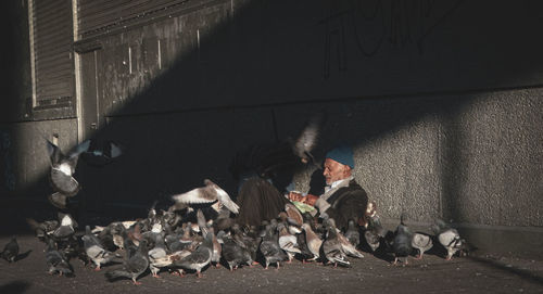 Group of people on wall in city