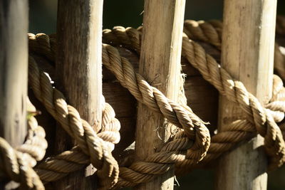 Close-up of rope tied to wooden post