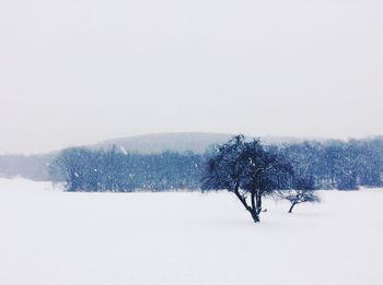 Scenic view of snow covered landscape