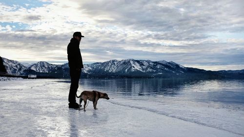 Dog standing on mountain against cloudy sky