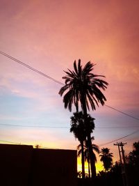 Low angle view of silhouette palm trees at sunset