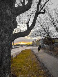 View of a city street