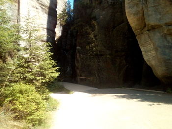 Rock formation amidst trees in forest