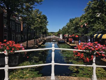 View of flowering plants by canal against clear sky