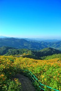 Scenic view of landscape against clear blue sky