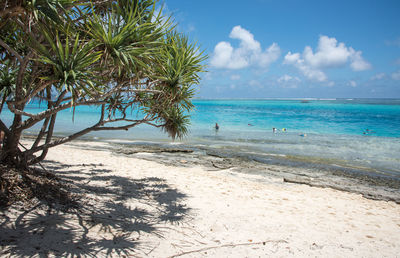 Scenic view of beach against blue sky