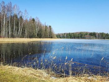 Scenic view of calm lake against clear blue sky