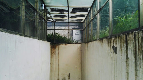 Close-up of greenhouse