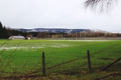 Scenic view of field against sky