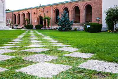 Footpath in garden