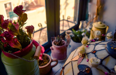 Close-up of potted plant