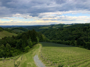 Scenic view of agricultural field against sky