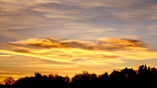 Low angle view of silhouette trees against dramatic sky