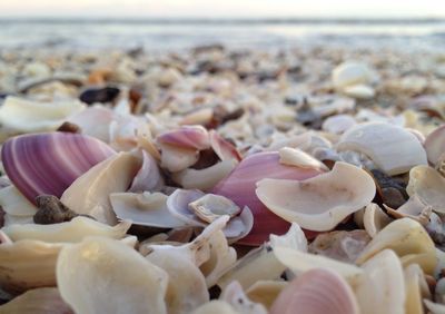 Close up of pebbles at beach