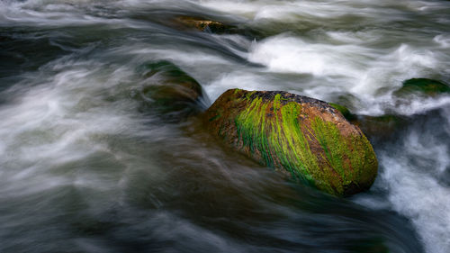 Scenic view of waterfall