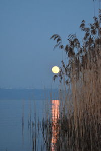 Scenic view of lake against clear sky