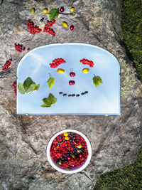 High angle view of fruits in bowl on table