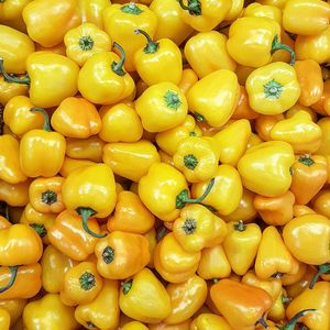Full frame shot of yellow bell peppers at market stall