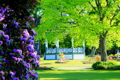 Plants growing in park