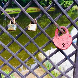 Padlocks hanging on chainlink fence