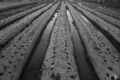 High angle view of tire tracks on land