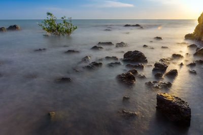 Scenic view of sea against sky