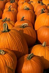 Full frame shot of pumpkins