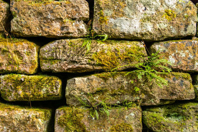 Full frame shot of stone wall