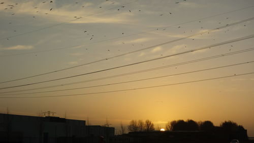 Birds flying over city against sky during sunset