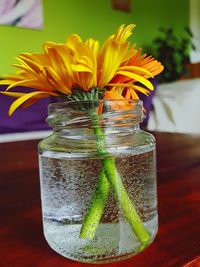 Close-up of flower in glass jar on table