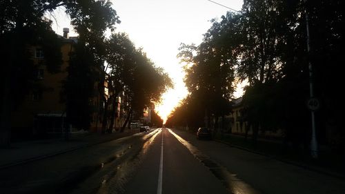 Road along trees at sunset