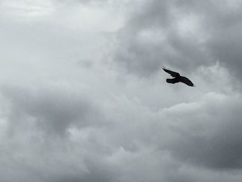 Low angle view of birds flying against cloudy sky