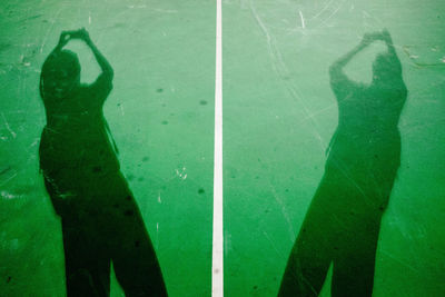 High angle view of people shadow on green leaves