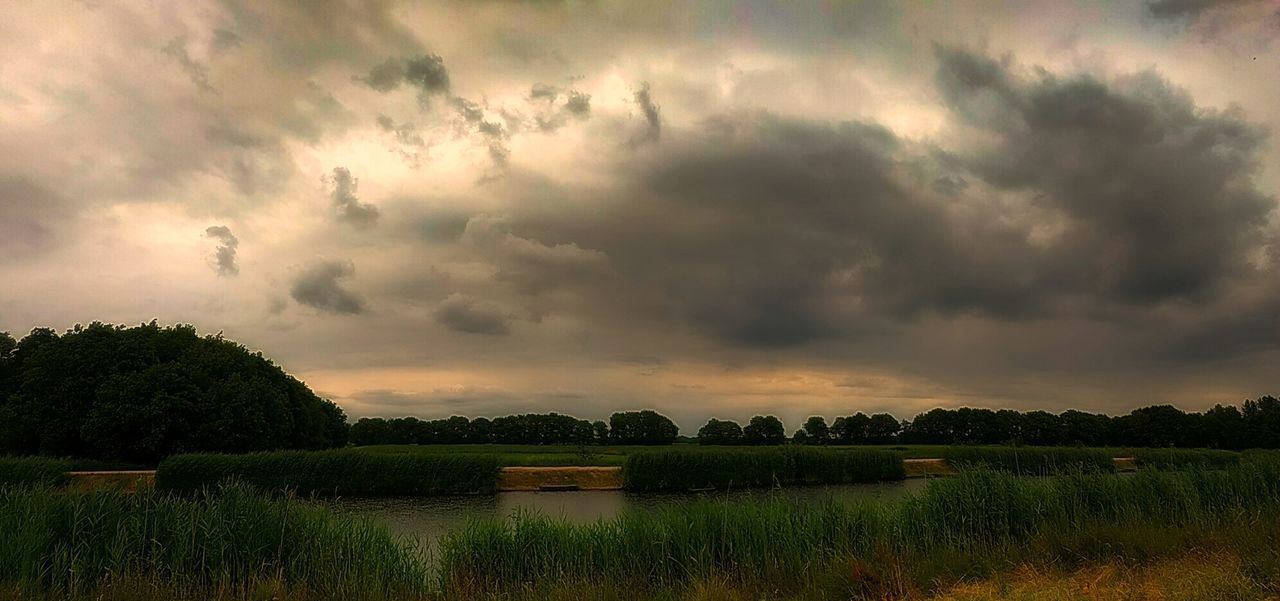 SCENIC VIEW OF FIELD BY LAKE AGAINST SKY