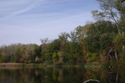 Scenic view of lake in forest against sky