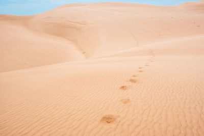 Sand dunes in desert